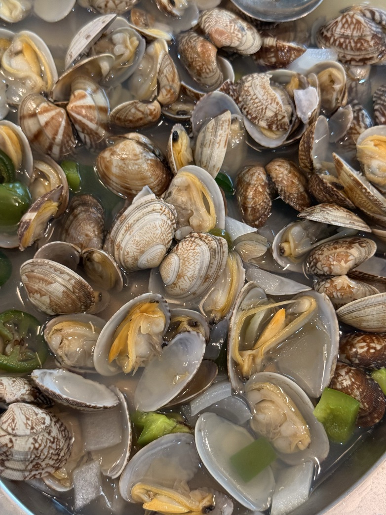 Clams